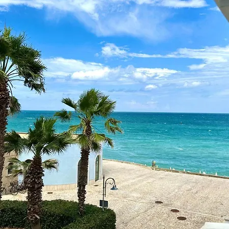 Apartamento P040 - Porto Recanati, Nuovo Monolocale Fronte Mare